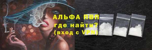 ECSTASY Кукмор
