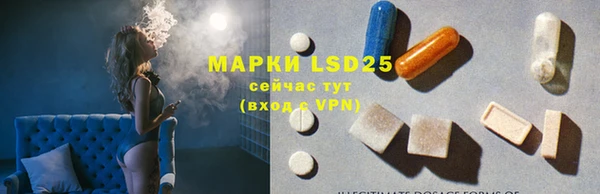 ECSTASY Кукмор