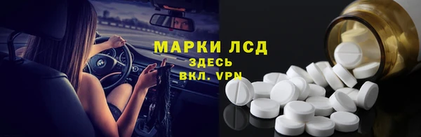 ECSTASY Кукмор