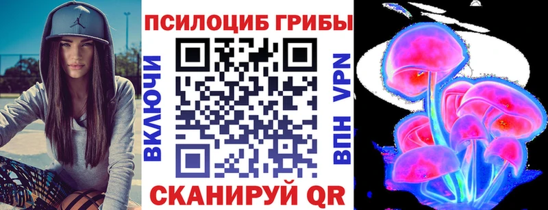 Псилоцибиновые грибы Psilocybine cubensis  Называевск 
